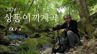 상동이끼계곡 촬영출사 / Feat. 벤로 브라이튼CPL필터