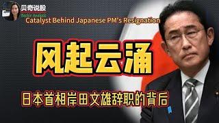 Catalyst Behind Japanese PM's Resignation | 风起云涌，磨刀霍霍，日本首相岸田文雄突然辞职的背后….