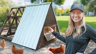 Chicken Coop Build Under $500 - with FREE PLANS