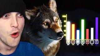 How Wolves Broke The Game! (Reaction)