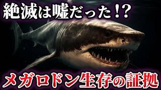 【ゆっくり解説】メガロドンは今もマリアナ海溝で生きている!?生存を裏付ける決定的証拠