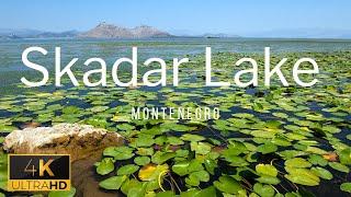 Skadar Lake 4K | Montenegro 