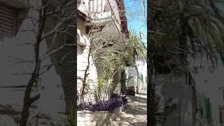 Vte Lopez Barrio VI #argentina #buenosaires #walking #shorts #walk #walkthrough #shortvideo #walks