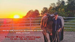 Horsemanship Serie Teil 2