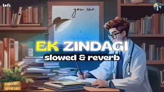 Ek Zindagi [Slowed + Reverb] | Angrezi Medium | Sabki Rok Hai Tok Hai