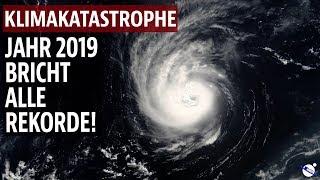 Klimakatastrophe - Jahr 2019 bricht alle Rekorde