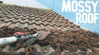 Real Time Roof Cleaning, Satisfying Moss Removal // Partridge Exterior Cleaning