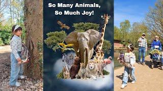 Our Zoo Adventure | Family Vlog