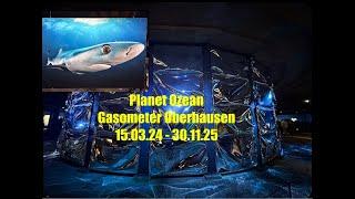 Planet Ozean-Ausstellung im Gasometer Oberhausen Wie schön und wie kaputt ist der Ozean?!?