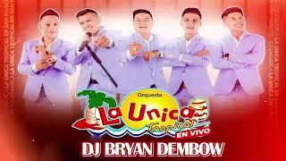 MIX LA UNICA TROPICAL 2025 ( Tattoo, Perdidos, Sal de mi vida, Tu poeta) DJ Bryan Dembow