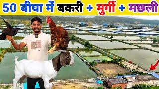 50 बीघा में मछली, बकरी, मुर्गी, कबूतर, बतख पालन | Integrated Fish Farming