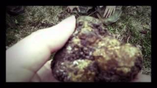 Truffle Hunting in Savigno with Maurizio