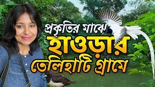 Telihati Village  |  Tree Plantation | Birds  of Howrah