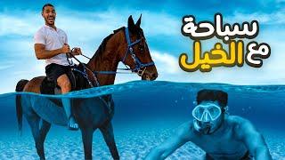 تحدي السباحة مع أشرس خيل !! (كسر سيارتنا !! ) | HORSE CHALLENGE