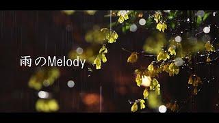 雨のMelody / KinKi Kids (cover) - nero × りょーくん