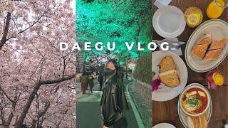 daegu vlog  study abroad in korea, cherry blossoms, e-world