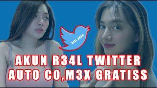 Mencari Akun Twitter Real Penghibur Sebelum Tidur (auto c0lm3x Gratis)