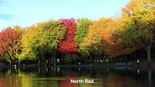 Moving To  Red Deer Alberta - Whats It Like To Live In North Red Deer