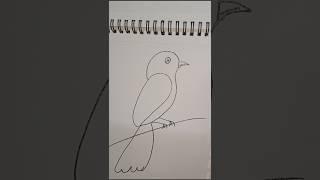 #birds ️ #art #drawing #artsy #artist #sketch #painting #pencilart #illustration #paint #craft