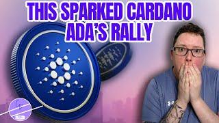 The Hidden Factor that Sparked Cardano ADA's 65% Rally!