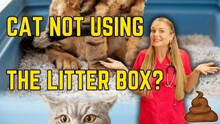 How to Fix your Cat Pooping Outside the Litter Box?? | Vet Explains