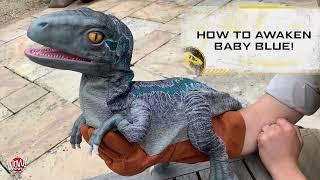 Wow! Stuff Jurassic World RealFX Baby Blue - Demo Video | JAKKS Pacific