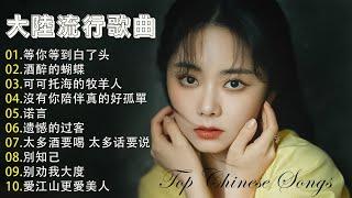 2025華語流行歌曲50首大陸流行歌曲 2024流行歌曲  Top Chinese Songs 2025 等你等到白了头 \ 酒醉的蝴蝶 \ 可可托海的牧羊人 \ 沒有你陪伴真的好孤單