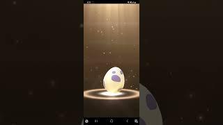 Pokémon GO - Hatching Eggs #13