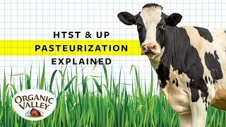 UP and HTST Pasteurization Explained | Ask Organic Valley