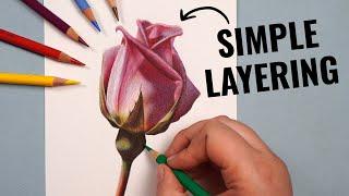 Layering With ONLY 12 Colored Pencils | Polychromos Tutorial