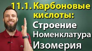 11.1. Карбоновые кислоты: Строение, номенклатура, изомерия. ЕГЭ по химии