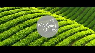 MyCupOfTea Trailer