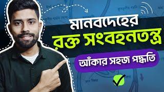 মানবদেহের রক্ত সংবহনের চিত্র আঁকার সহজ পদ্ধতি| Figureschool