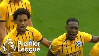 Danny Welbeck doubles Brighton's lead against Everton | Premier League | NBC Sports