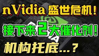 nVidia：盛世危机!接下来 2 大催化剂！机构托底...？