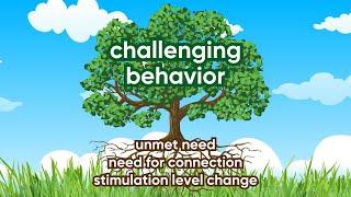 3 Possible Roots of Challenging Behavior in Young Children