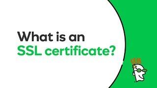 What is an SSL certificate? | GoDaddy IN