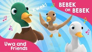 Bebek Oh Bebek - Lagu Binatang - Lagu Anak Indonesia Terbaru