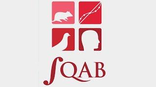 Анализ выбора в повседневности - Говард Рахлин