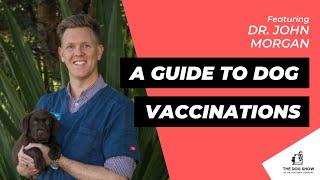 Does Your Dog Need Vaccinating? A Vet’s Guide to Dog Vaccinations Ft. Dr. John Morgan (Episode 56)