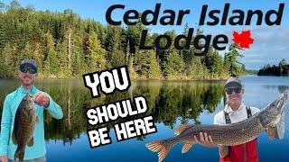 Cedar Island Lodge | Pipestone Lake | Canada