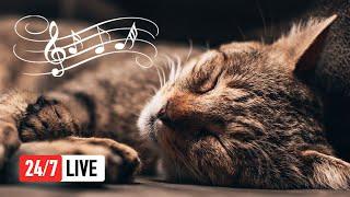  Relaxing Music for Cats (LIVE 24/7) Peaceful Piano Music with Cat Purring Sounds