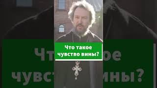 Чувство вины - не добродетель #shorts