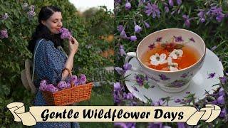 Learning How to be a Wildflower  Whimsical Cottage Life Vlog