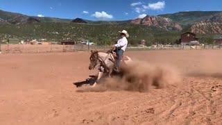 BB, a Horse from Rising K Ranch