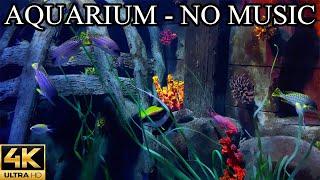 Dream AQUARIUM 4K Coral Reef 4K Aquarium NO Music NO Ads - 8 Hours | Aquarium Sounds For Sleeping