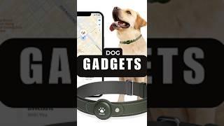 5 Shocking Dog Gadgets You Never Knew Existed