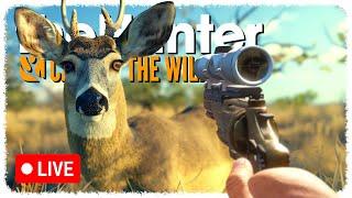 LIVE - Slinging lead into every deer I see (ᵗʰᵉʸ ᵒʷᵉ ᵐᵉ ²⁰ ᵇᵘᶜᵏˢ) | theHunter: Call of the Wild