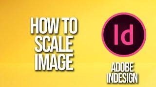 How To Scale Image Adobe InDesign Tutorial