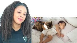 CATS PROTECTING BABIES VIDEOS COMPILATION 2019 | Reaction